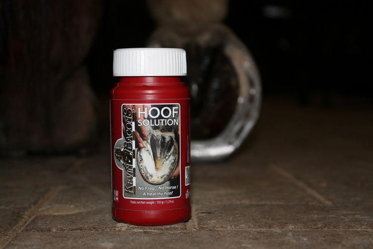 thrush treatment for horses hooves