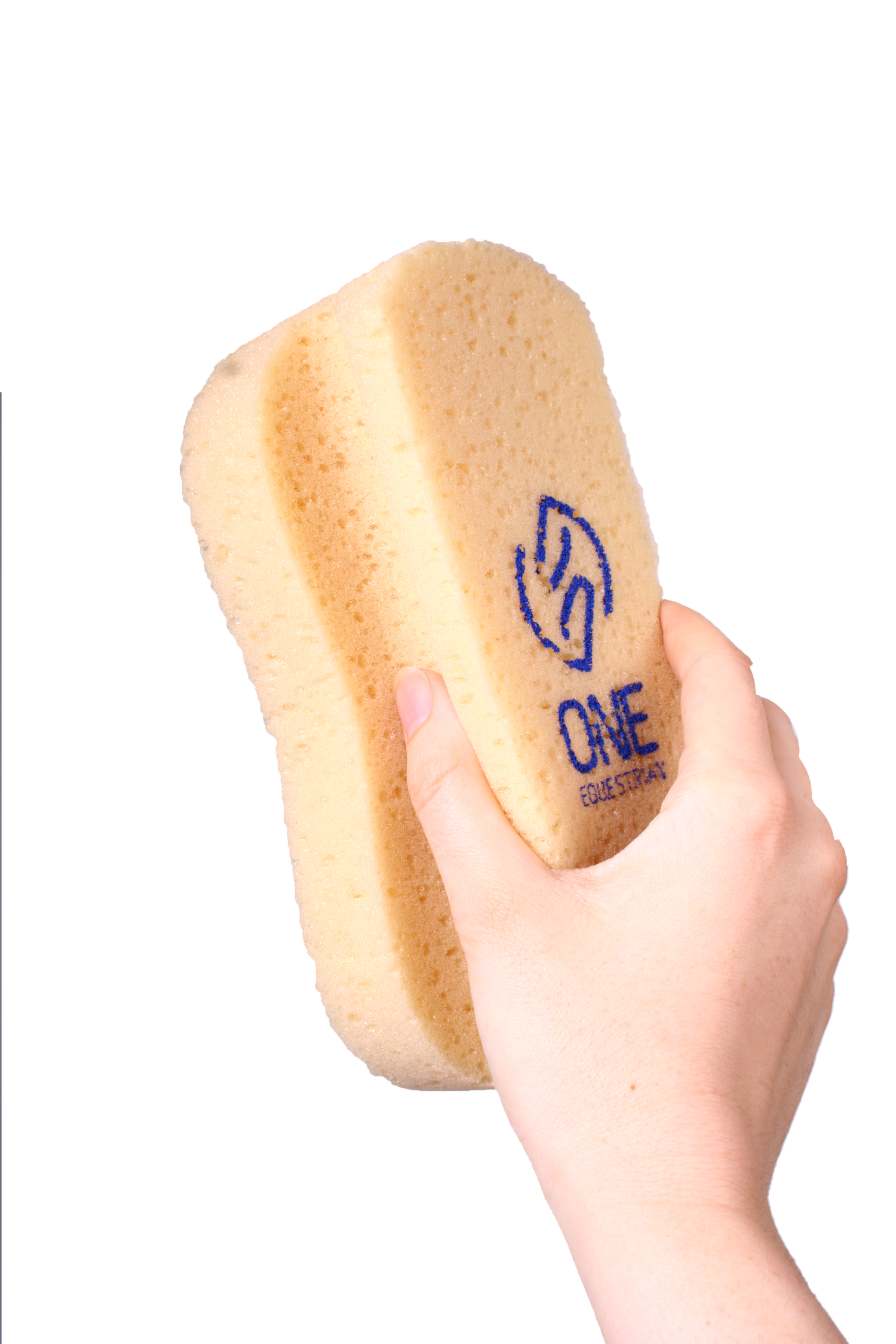 ONE equestrian big size sponge