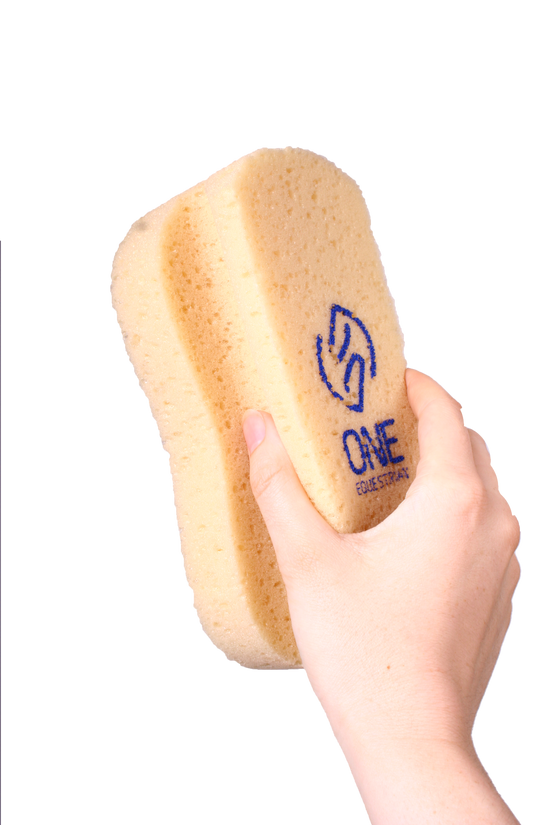 ONE equestrian big size sponge