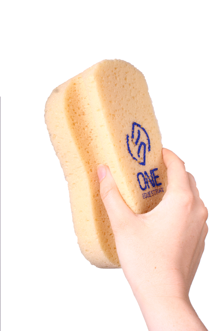 ONE equestrian big size sponge