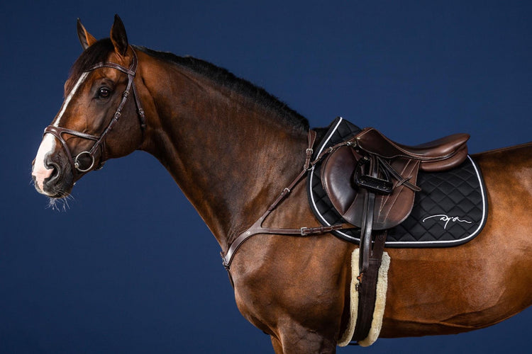 Anatomic breastplate