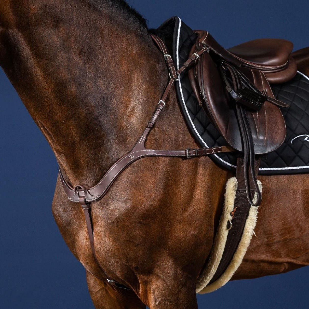 Show jumping breastplate