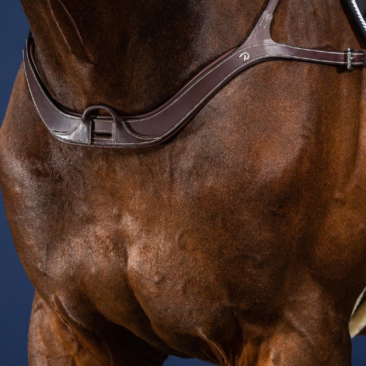 Best anatomic breastplate for horses