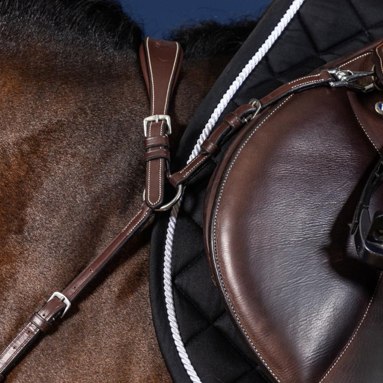 5 point attachment breastplate