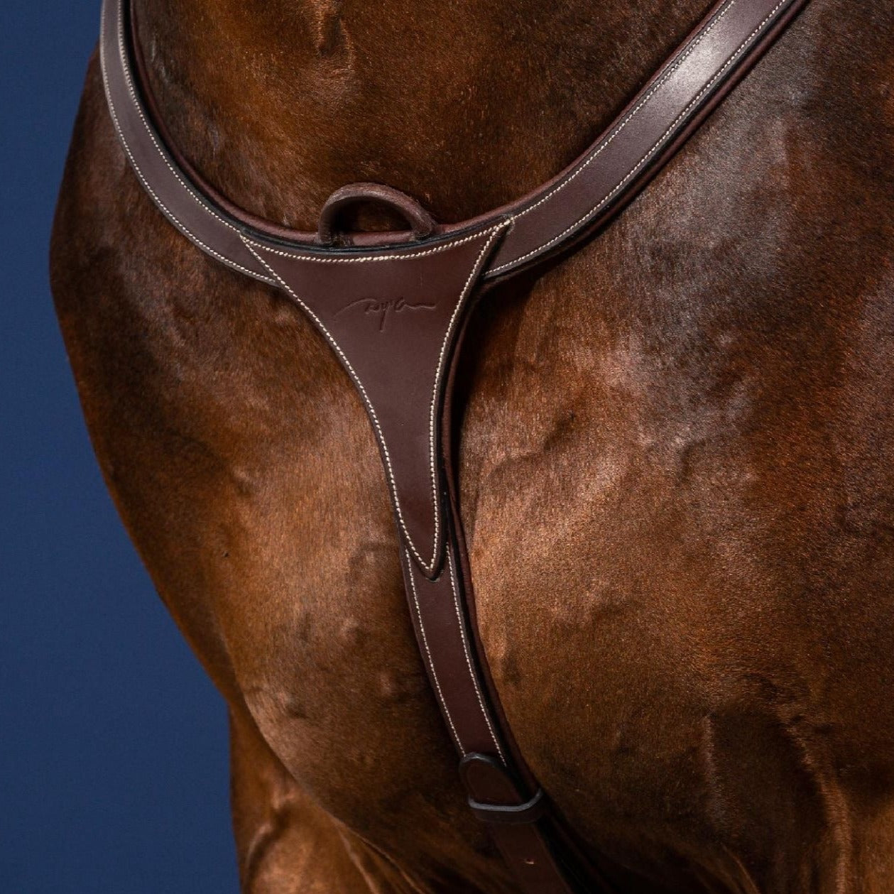 US collection Dy’on anatomic breastplate in brown leather