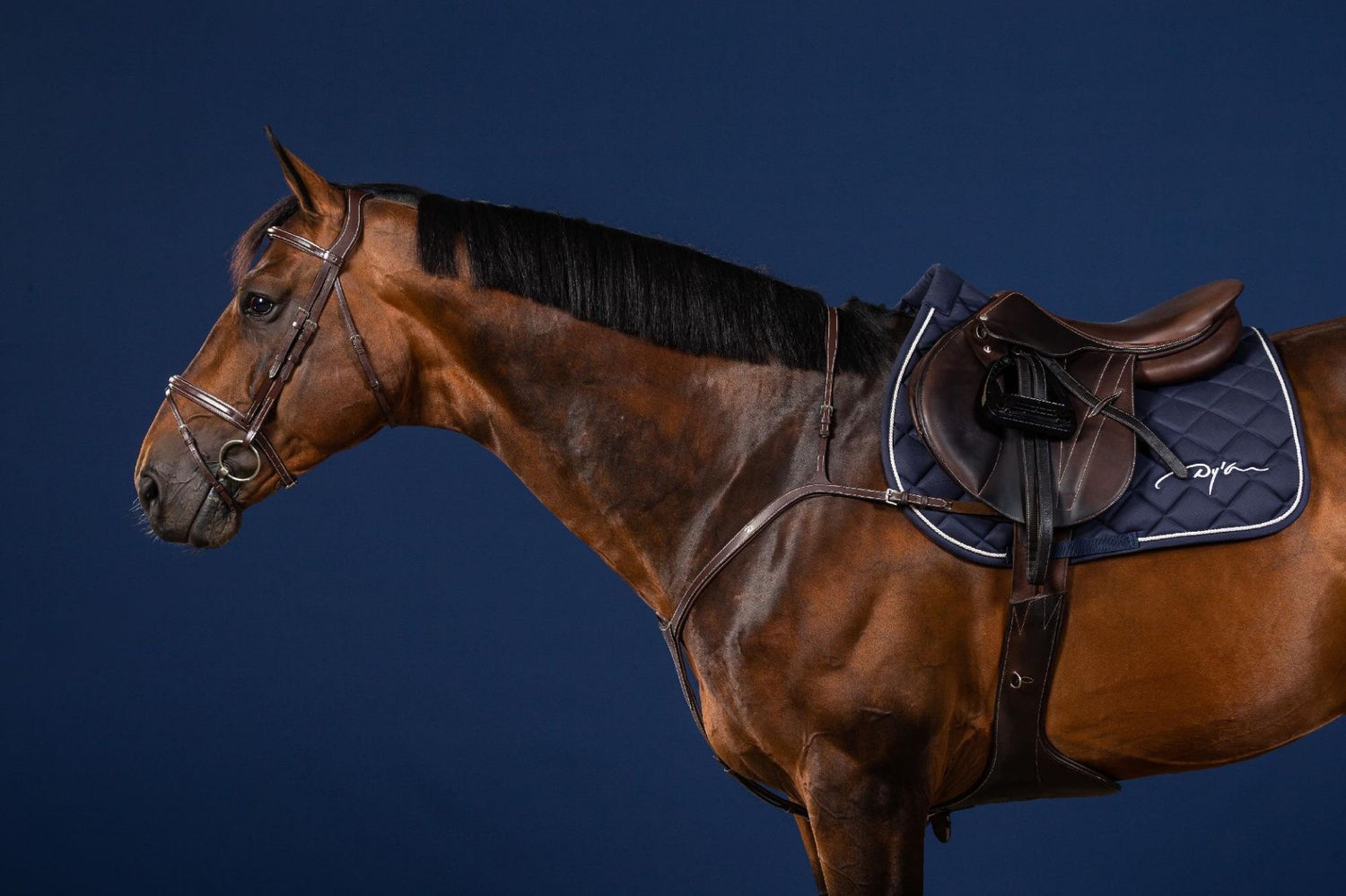 Jumping breastplate with attachment to girth
