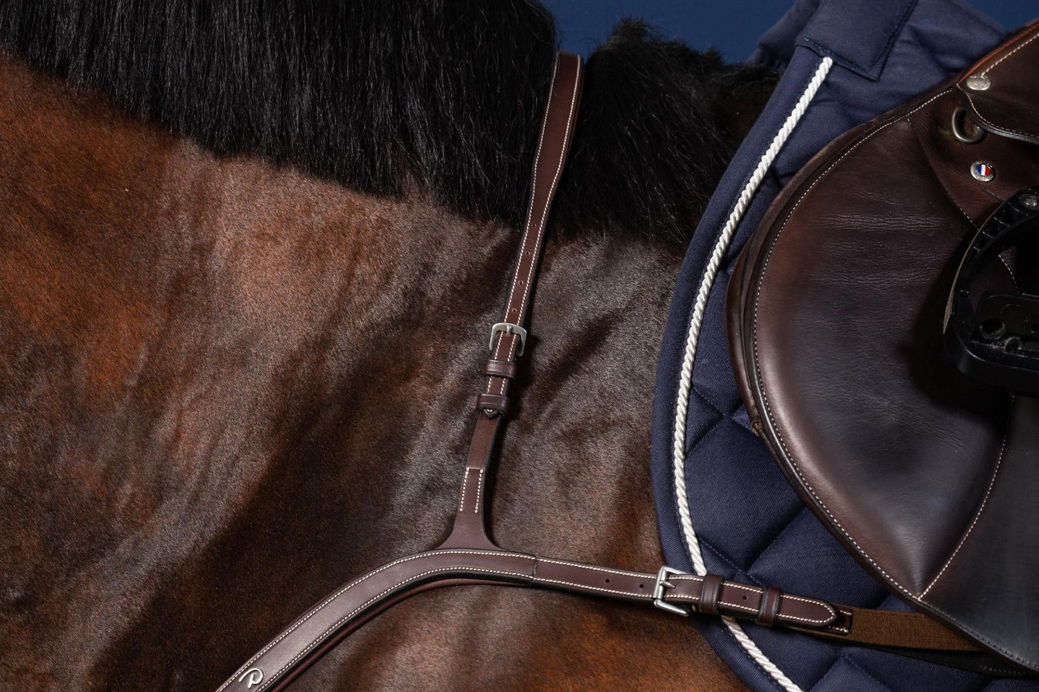 Anatomic leather breastplate with cream stitching