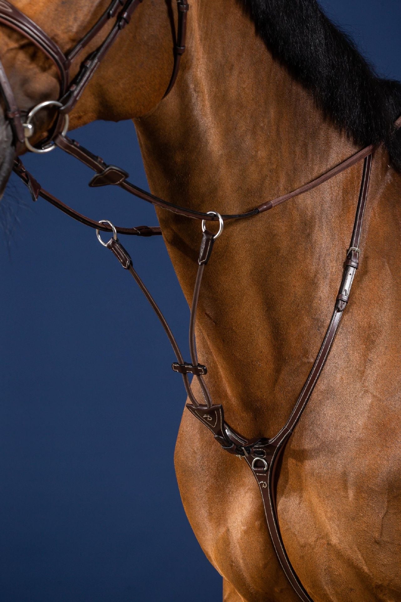 Elastic running martingale attachment in brown