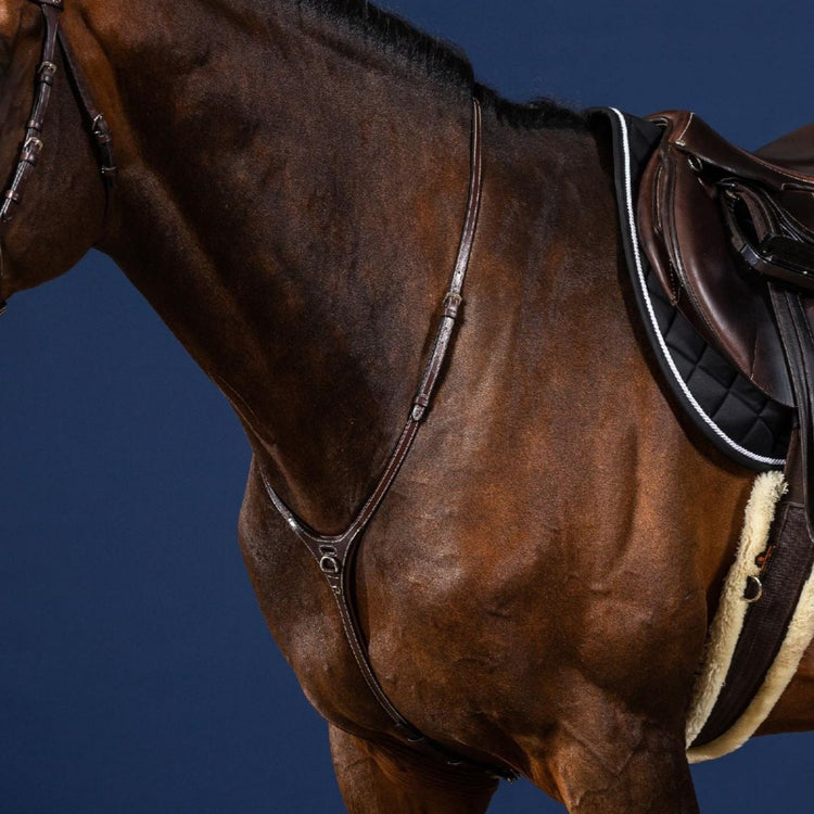 Yoke Martingale Dyon