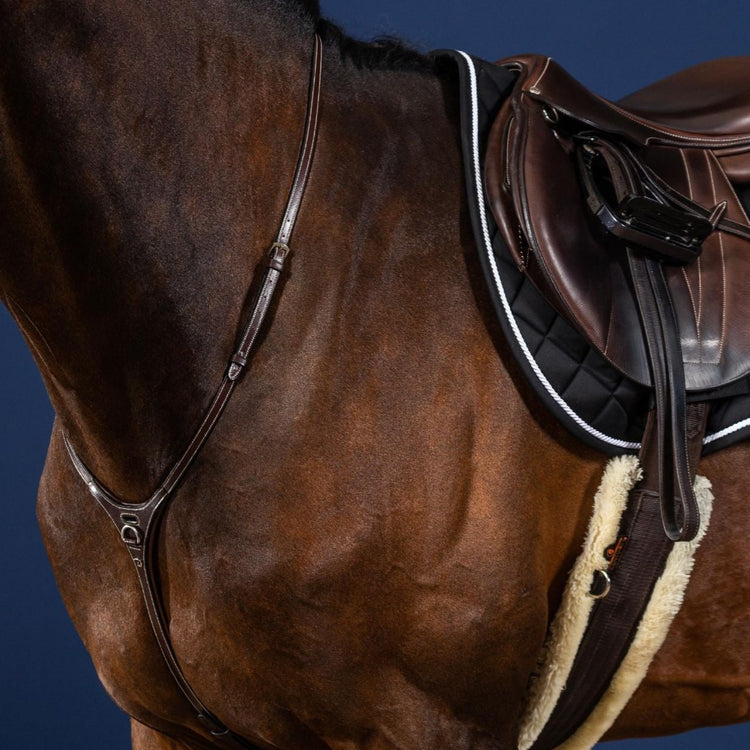 Quality leather martingale