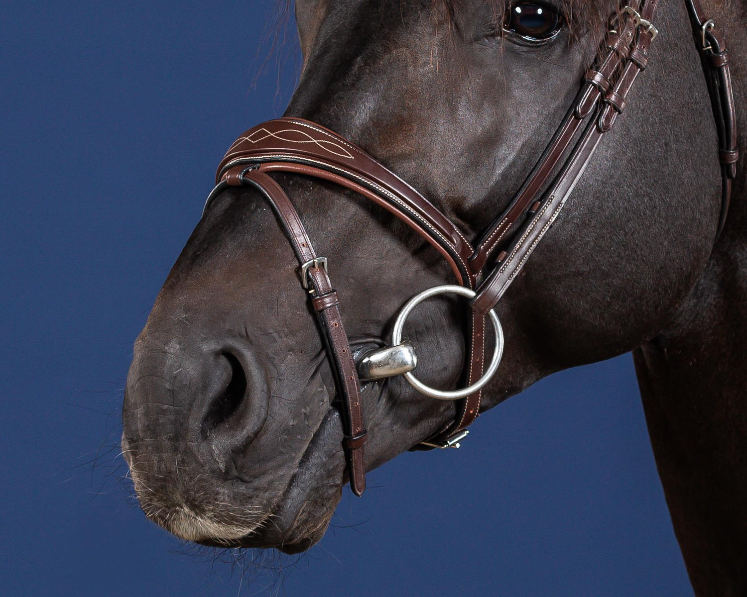 Flash noseband bridle