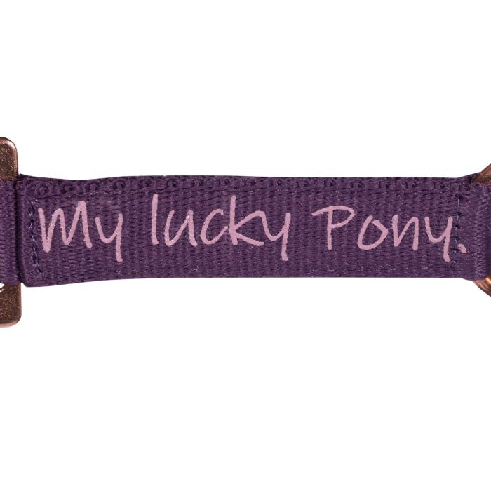 Hkm head collar