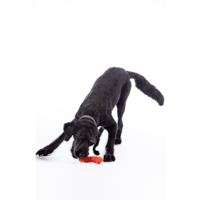 Dental care dog toy