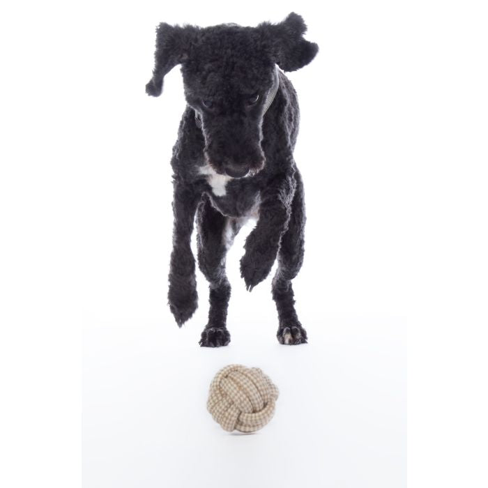 Knot ball for dogs