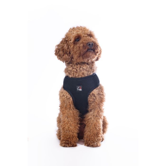 Hkm dog harness