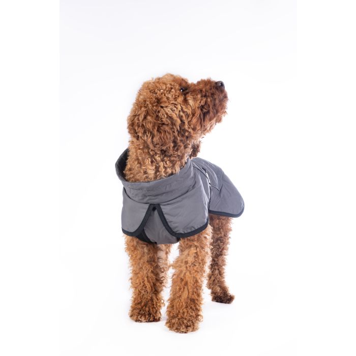 Dog coat with reflective elements
