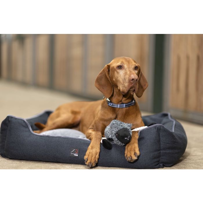 Reversible dog bed