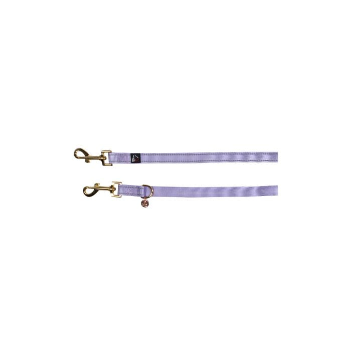 Dogs training leash