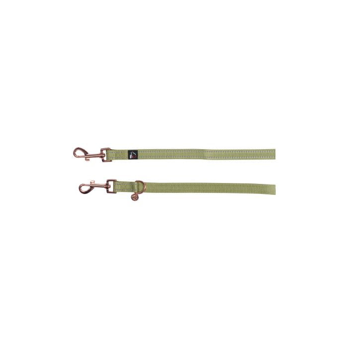 Adjustable dog lead