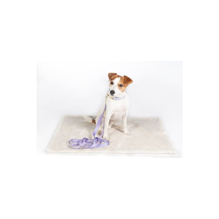 Hkm dog blanket