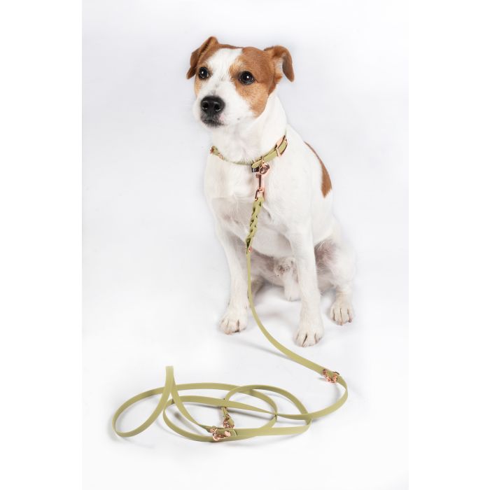Hkm dog lead