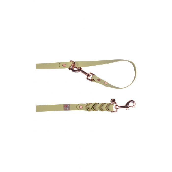 Dog lead