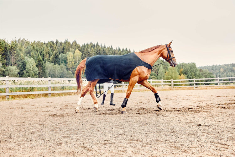 Walker rug for horses