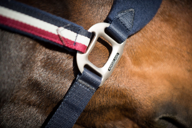 fleece padded nylon head collar