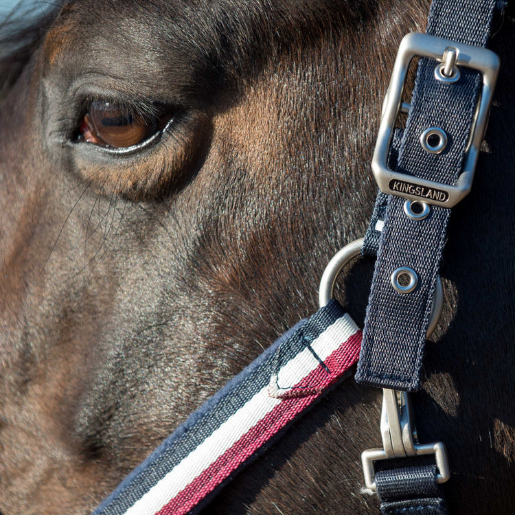 kingsland equestrian classic padded halter