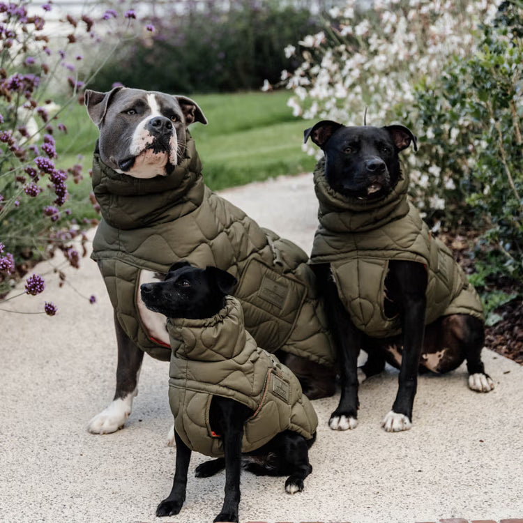 Kentucky Dogwear
Dog Coat Winter Pina