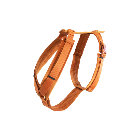 Kentucky Dogwear
Dog Harness Active Velvet Orange