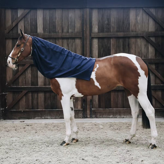 Kentucky Horsewear
Cooler Fleece Horse Scarf