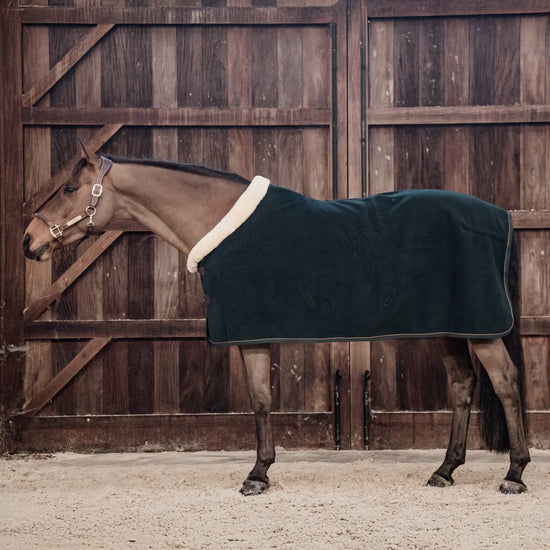 fleece rug winter