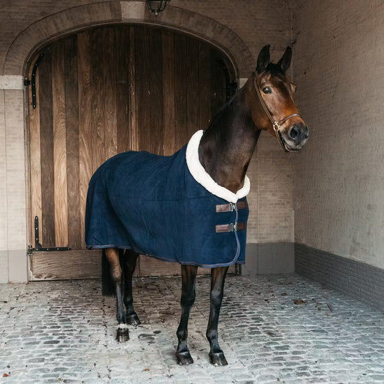 show fleece rug