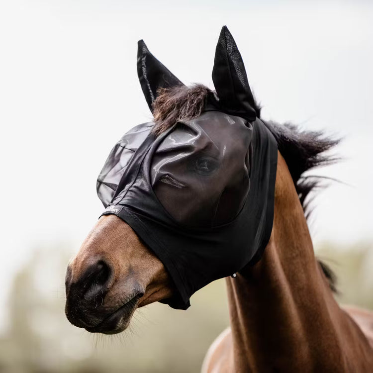 Fly Mask Kentucky