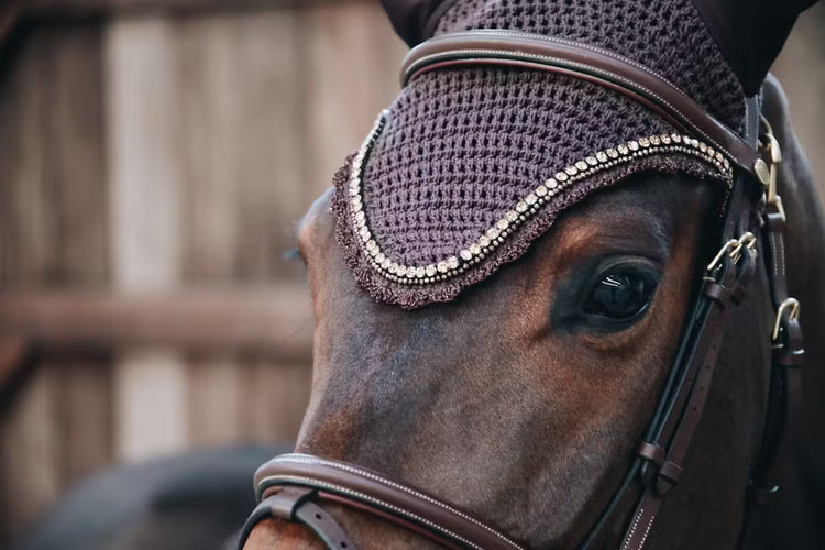 ear mask for horses