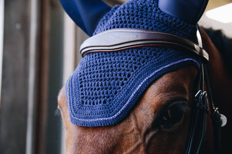 fly mask horses