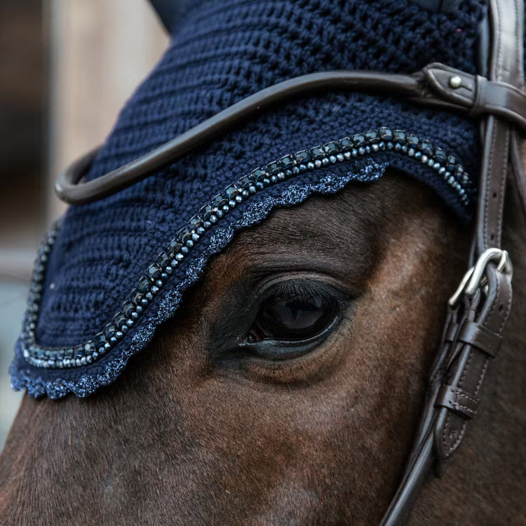 fly bonnet kentucky