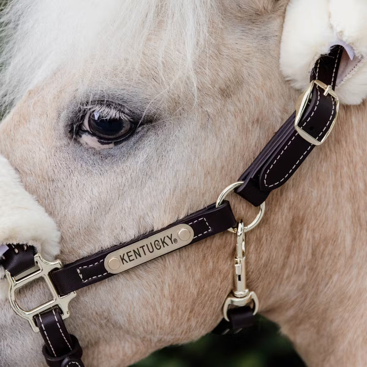 Kentucky Horsewear
Leather Halter Sheepskin