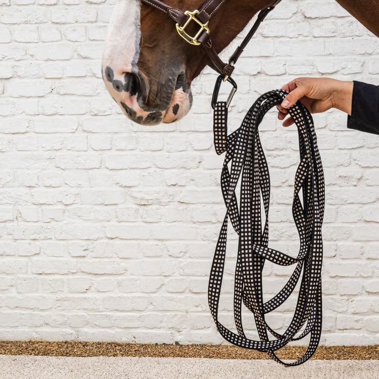 Kentucky Horsewear Lunge Line 8m
