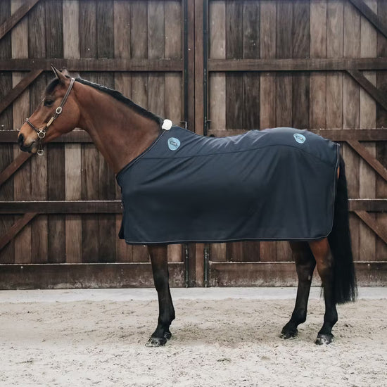 magnetic rug