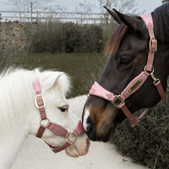 Pink glitter halter for horses
