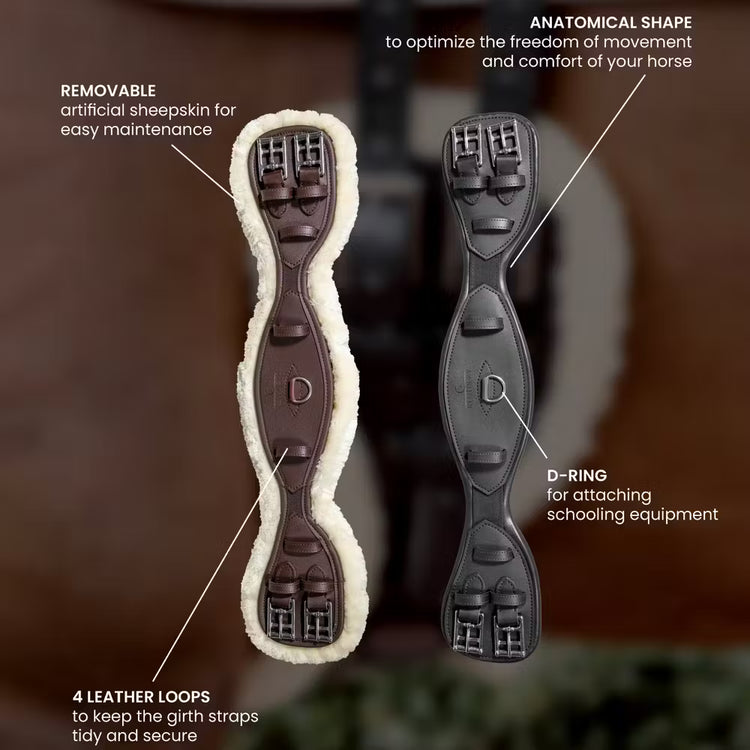 D-ring for attaching schooling equipment