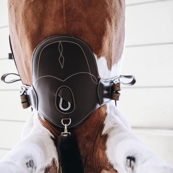 Short Stud Girth Brown