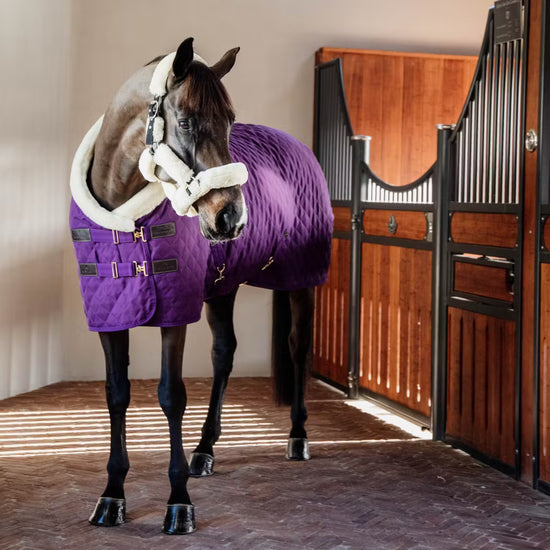 Kentucky Horsewear Show Rug Purple