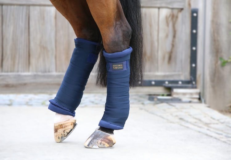 Navy Stable wraps for horses