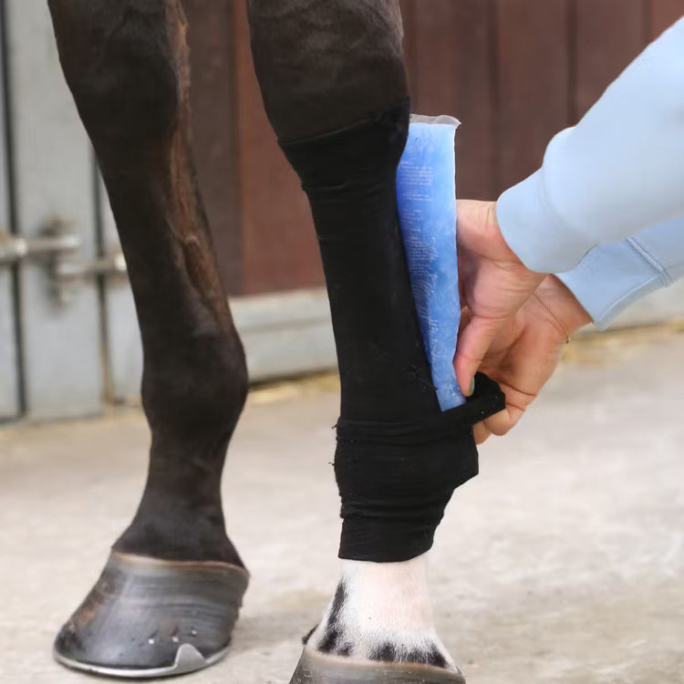 Grip Sock Horses
