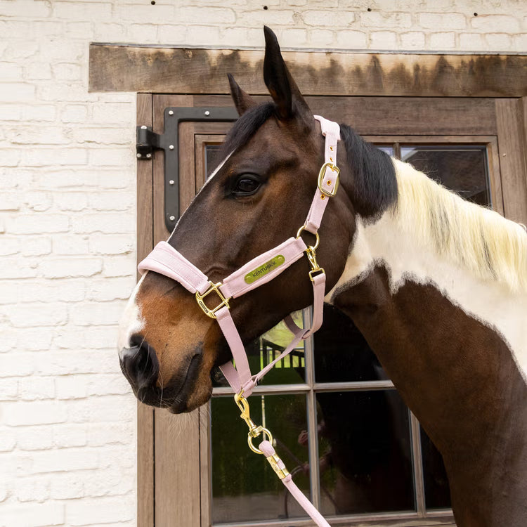 Kentucky Horsewear
Velvet Halter