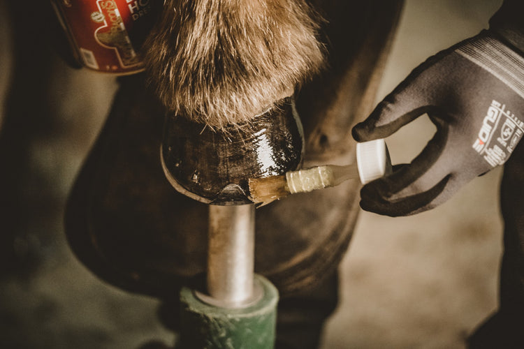 100% natural hoof oil