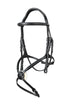 Mexican grackle bridle